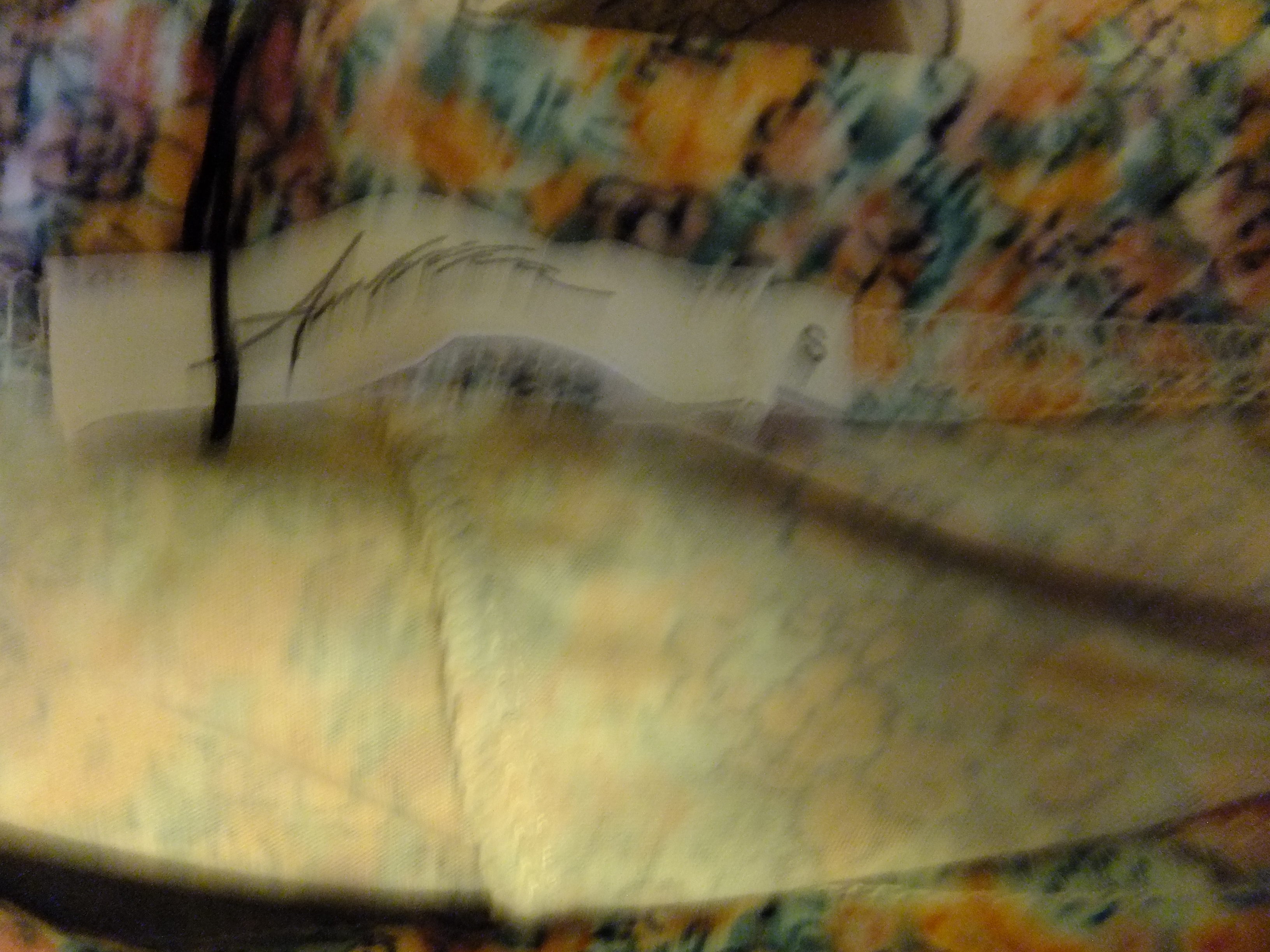 Zomer broek