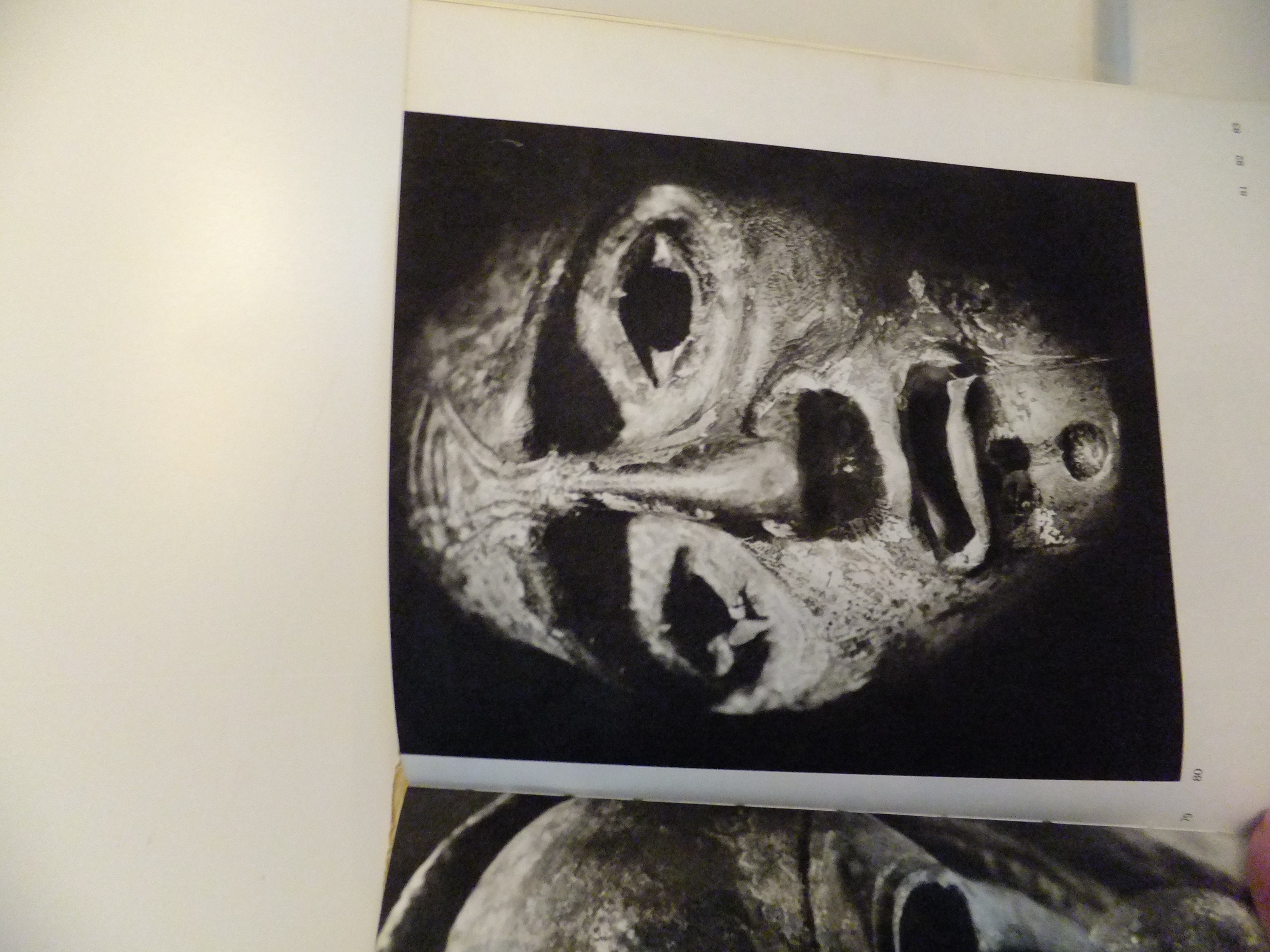 het Masker boek