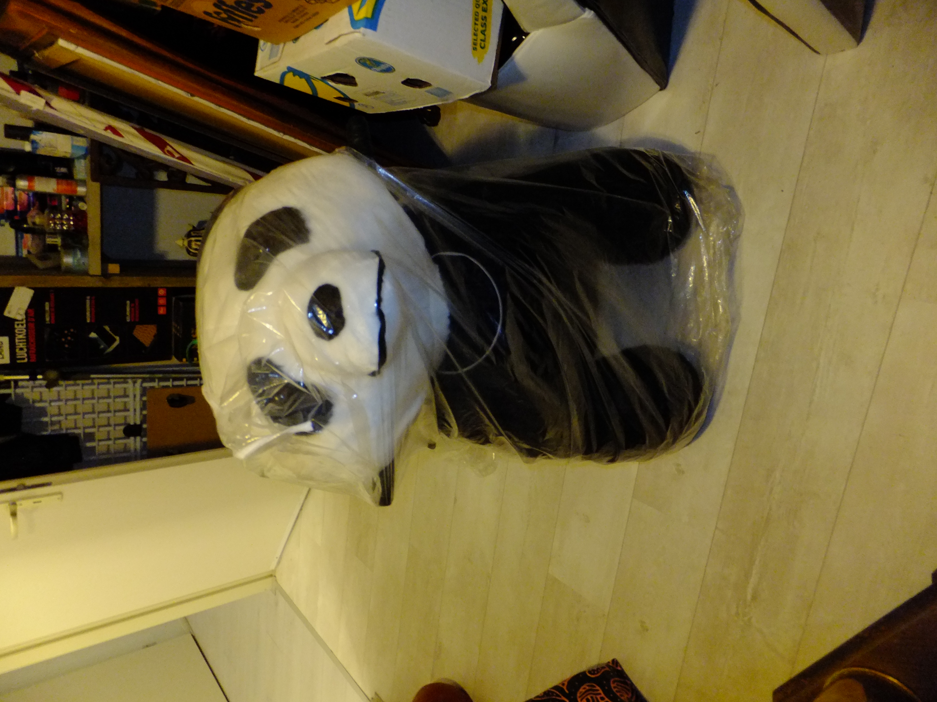 Kid Safari Panda