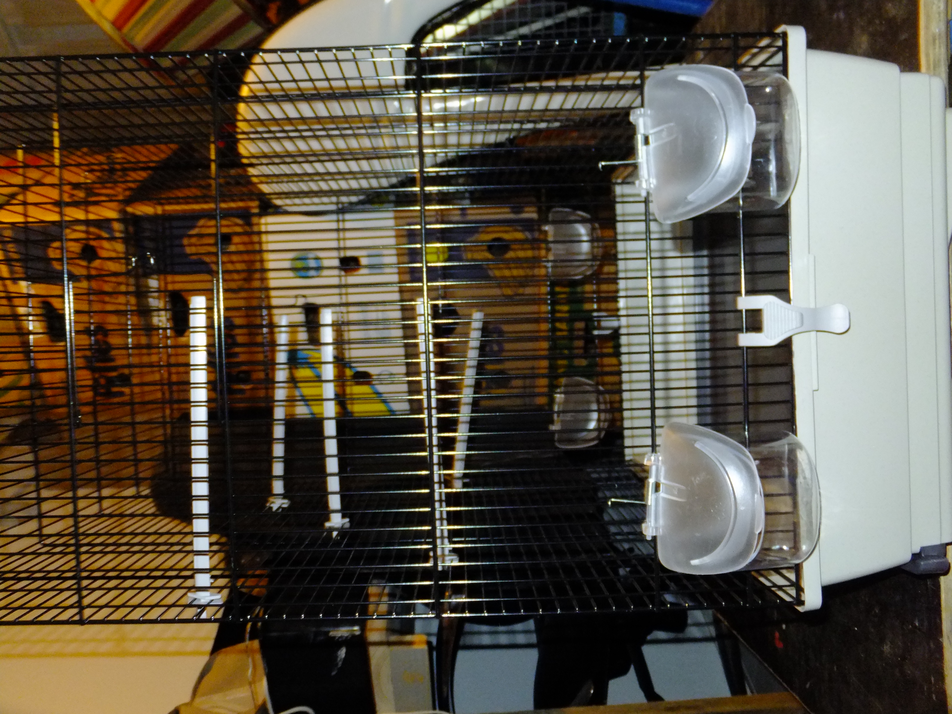 Vogelkooi