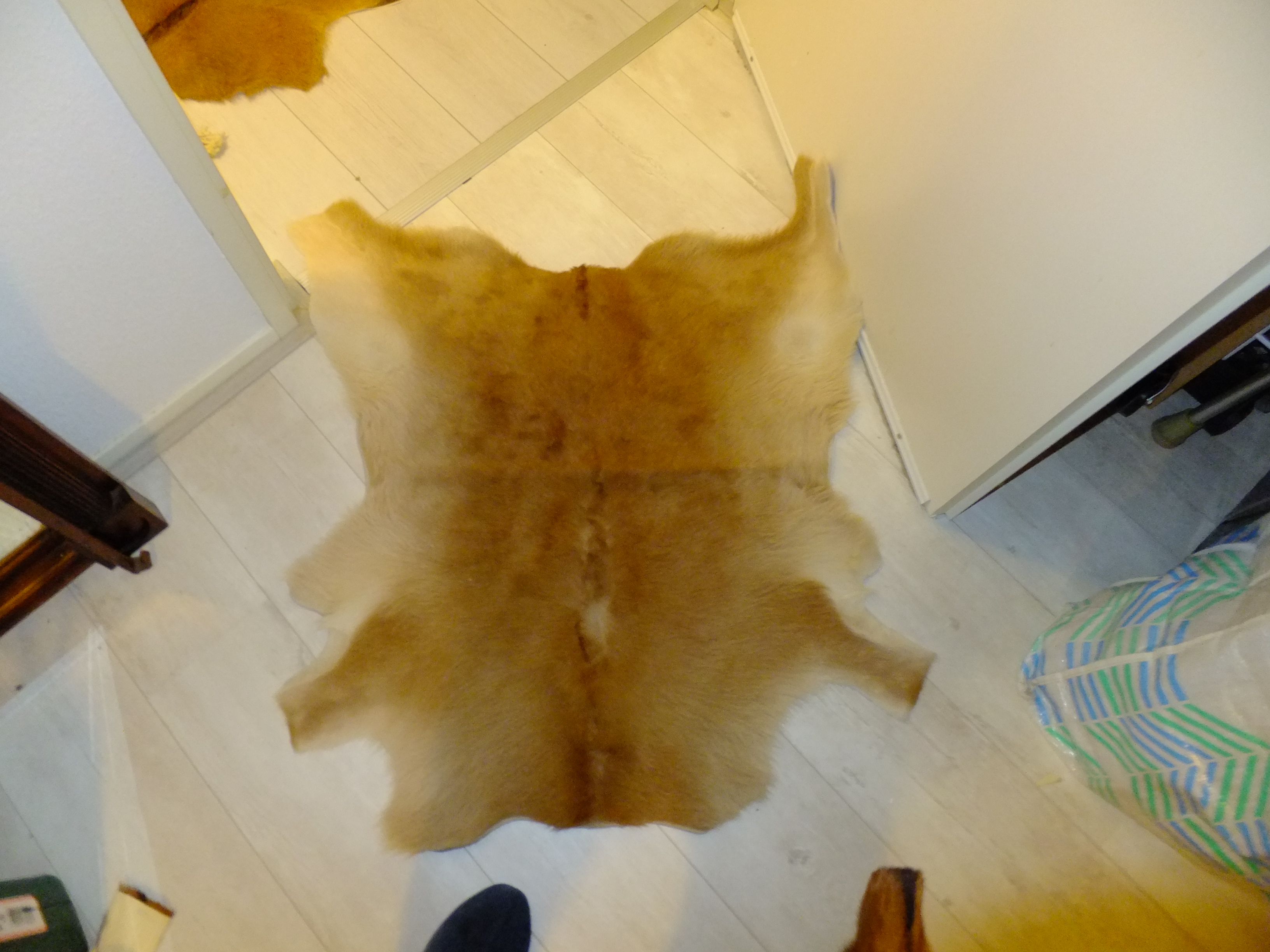 4 Dierenvellen